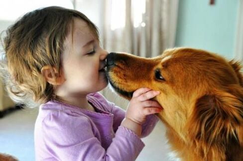 Jangkitan cacing daripada anjing